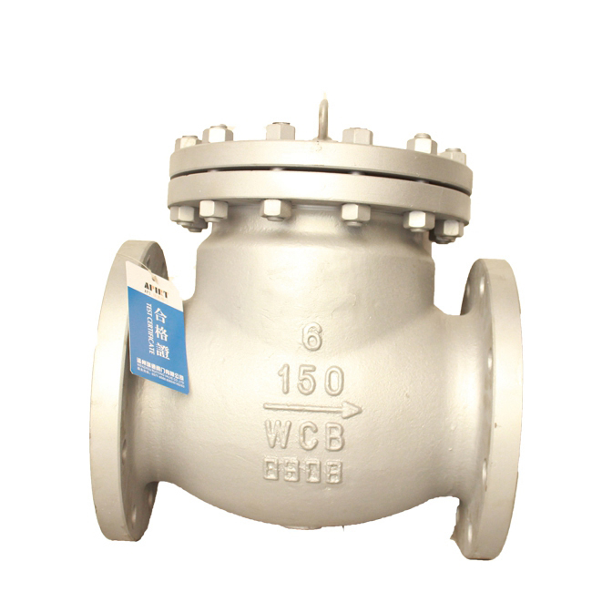 American standard check valve